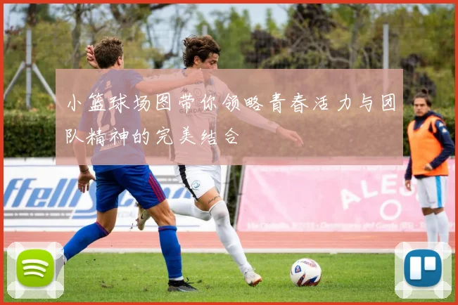 小篮球场图带你领略青春活力与团队精神的完美结合