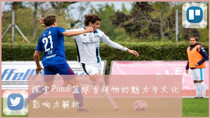 探索Puma篮球吉祥物的魅力与文化影响力解析