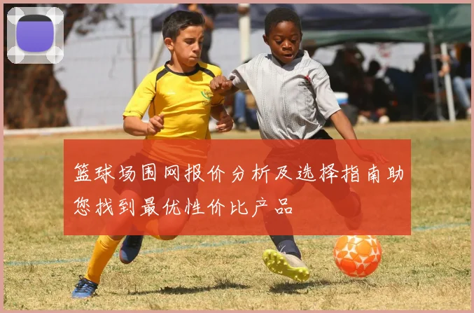 篮球场围网报价分析及选择指南助您找到最优性价比产品