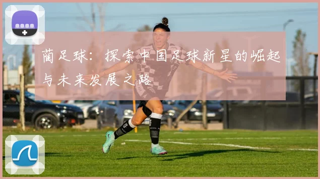蔺足球：探索中国足球新星的崛起与未来发展之路