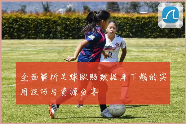 全面解析足球欧赔数据库下载的实用技巧与资源分享