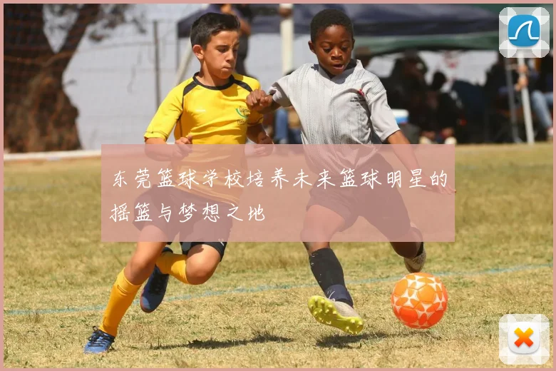 东莞篮球学校培养未来篮球明星的摇篮与梦想之地